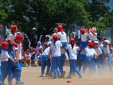 IMG_6154.jpg
