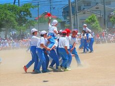 IMG_6158.jpg