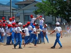 IMG_6163.jpg