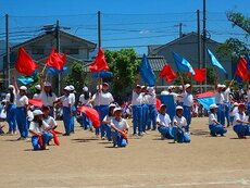 IMG_6176.jpg