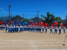 IMG_6187.jpg