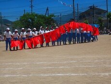 IMG_6192.jpg