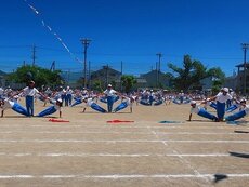 IMG_6214.jpg
