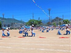 IMG_6217.jpg