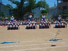 IMG_6219.jpg