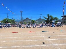 IMG_6222.jpg
