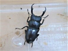 IMG_5791 - コピー.jpg