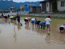 IMG_6279.jpg
