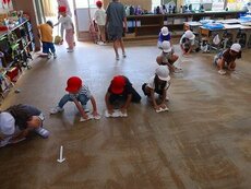 IMG_6350.jpg