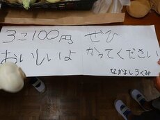 IMG_6375.jpg