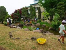 IMG_6376.jpg