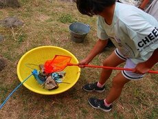 IMG_6379.jpg