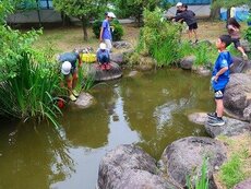 IMG_6392.jpg
