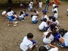 IMG_6499.jpg