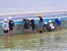 IMG_6528.jpg