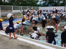 IMG_6537.jpg
