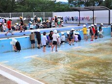 IMG_6558.jpg