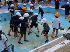 IMG_6577.jpg