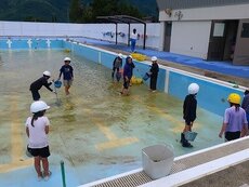 IMG_6677.jpg
