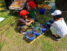 IMG_6854.jpg