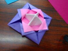 IMG_6971.jpg