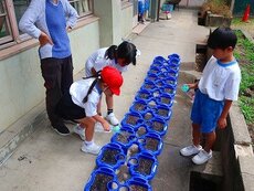IMG_6991.jpg