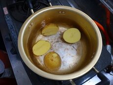 IMG_7149.jpg