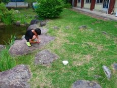 IMG_7158.jpg
