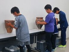 IMG_7228.jpg
