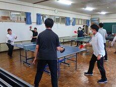 IMG_7381.jpg