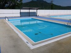 IMG_7389.jpg