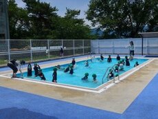 IMG_7481.jpg