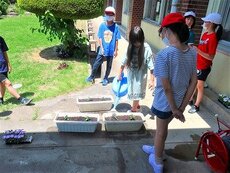IMG_7527.jpg