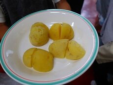 IMG_7706.jpg