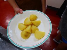 IMG_7707.jpg
