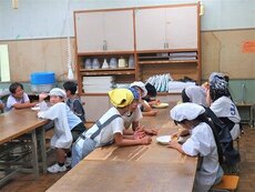 IMG_7715.jpg