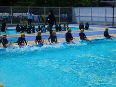 IMG_7823.jpg