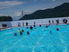 IMG_7908.jpg