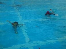 IMG_7975.jpg