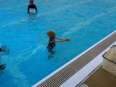 IMG_7978.jpg