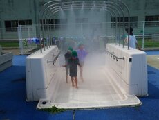 IMG_8030.jpg