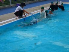 IMG_8060.jpg