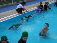 IMG_8062.jpg