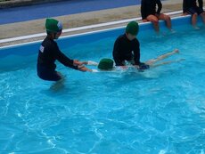 IMG_8178.jpg