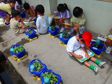 IMG_8224.jpg