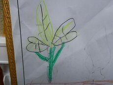 IMG_8230.jpg