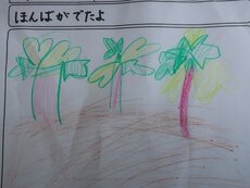 IMG_8235.jpg