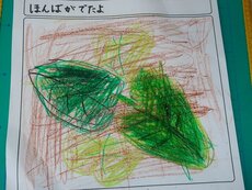 IMG_8236.jpg