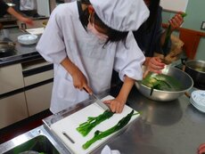 IMG_8347.jpg