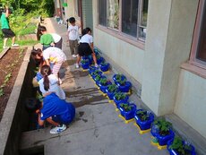 IMG_8438.jpg